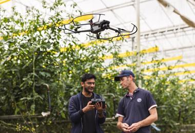 Hort Innovation Frontiers