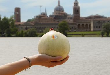 MANTOVA_MeloneMantovano