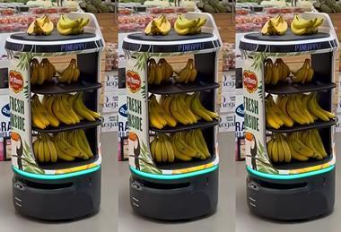 Del Monte Servi Plus