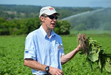 Potato agronomist Mark Stalham
