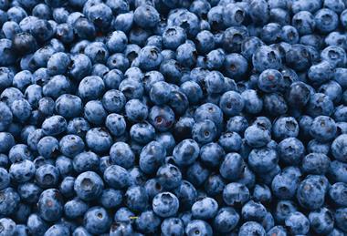 Blueberries Adobe Stock