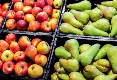 Äpfel und Birnen-kirill gorlov_AdobeStock_246496035