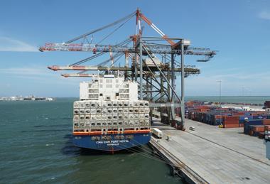 Reefer containership Adobe Stock