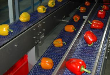 Paprika Sortierung