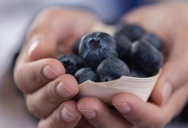 Sekoya Pop blueberries