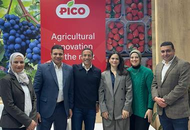 Pico team