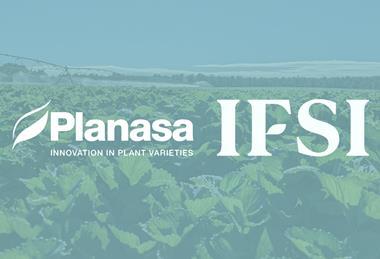 Planasa IFSI