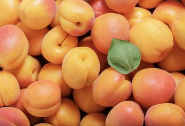 Generic fresh apricots Adobe Stock