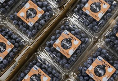 Fall Creek PeachyBlue blueberries