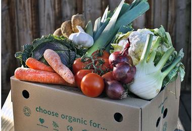 Organic sales are out-performing non-organic