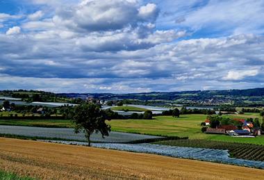 Landschaft Region Bodensee