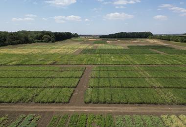 PGRO Pulse Open Day