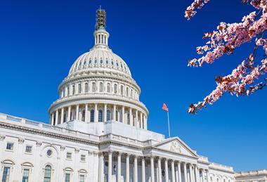US Capitol cherry blossom AdobeStock_139950136