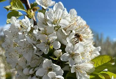 f6b2fede-9923-4abf-8897-2c8647e8d29b