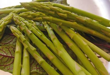 Delegates from across the asparagus sector will attend