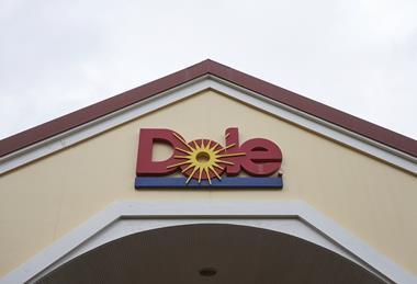 Dole plantation Honolulu County - MUST CREDIT Tada Images - Adobe Stock