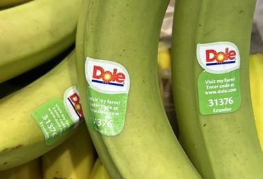 Dole bananas Ecuador