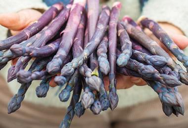 Tesco New Forest Fruit purple asparagus