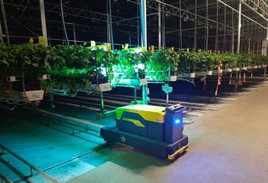 VLAM UV-C robot in the greenhouse