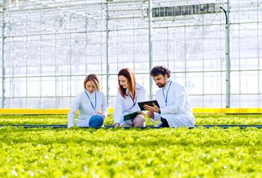 The way farms are assessed is under scrutiny