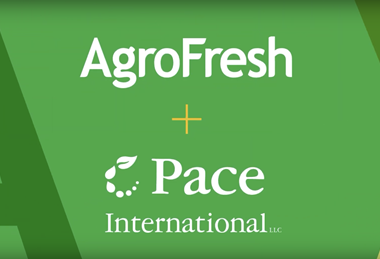 Agrofresh Pace International