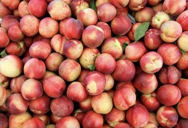 Organic nectarines Adobe Stock