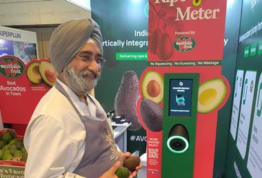Westfalia Asia ripeness