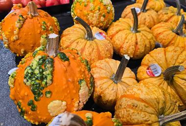 Coles Mini Wart pumpkin