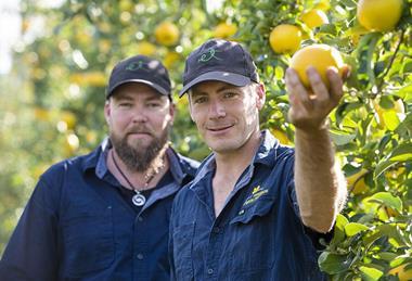 l-r Shane and Paul Priest from Priest Bros Orchards CREDIT Zoe Phillips