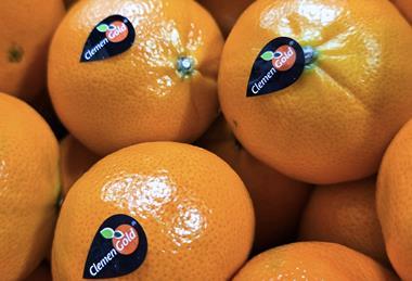 South African ClemenGold with Sinclair compostable labels