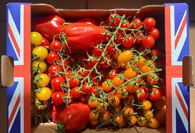 British tomatoes in box
