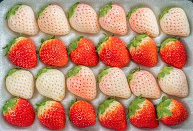 Korean strawberries