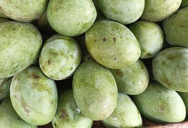 Mangoes Indonesia Adobe Stock_1073529354
