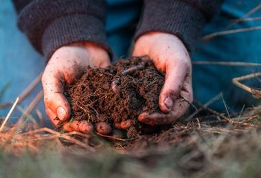 The Soil Association says the UK needs more organic farmland if it is going to meet its climate and nature goals