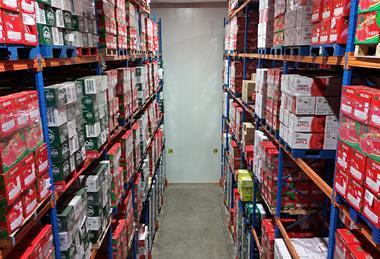Cold Storage Landscape