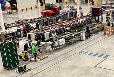 TFC Holland packing line