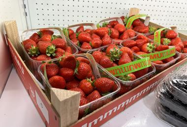 El Pinar strawberries