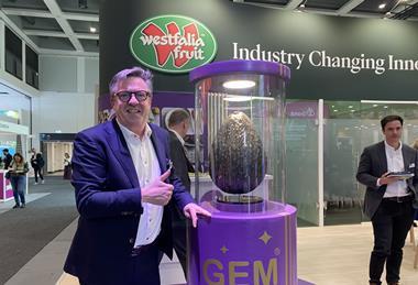 Wim Destoop at Fruit Logistica 2026