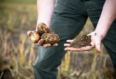 Greenvale has committed to ambitious emissions-reduction targets