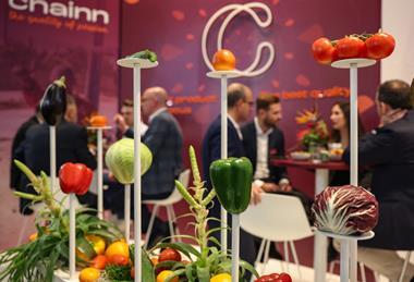 DE Fruit Logistica veg networking