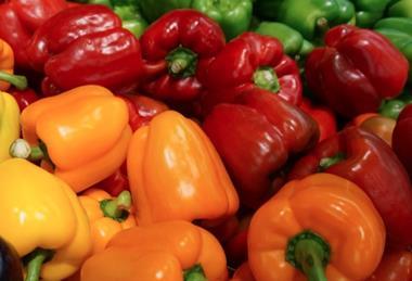 Moroccan sweet pepper exports to the UK have grown by 5.8 per cent over the past three years