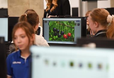Students using computer vision to detect ripe cherries and predict yields
