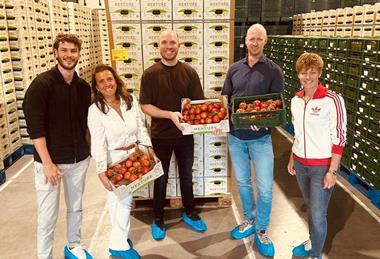 Duijvestijn Tomaten, Ledgnd, Gavita