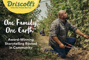 Driscoll's