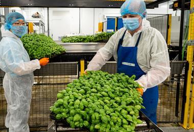 Fischer Farms has gained LEAF accreditation