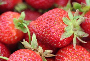 Dia Spanish strawberries