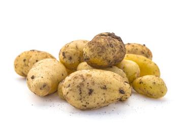 Foto: L.Bouvier - AdobeStock