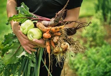 Organic vegetables
