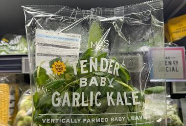 M&S new Baby Garlic Kale is vertically farmed