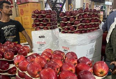 Apples in India market